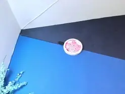 Amateur Watch Live Sex Cams of zaid_lionn