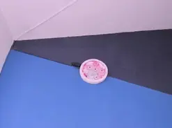 Amateur Private Sex Chat of zaid_lionn