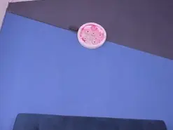 Amateur Live Porn of zaid_lionn