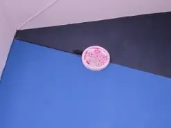 Amateur Private Sex Chat of zaid_lionn