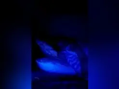 Amateur Nude Webcam of Gatubelu_75