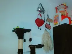 Amateur Free Porn Cam of karol_scoott