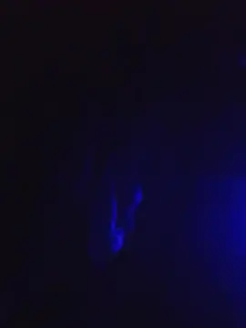 Cam4 Sex Cam of rosinow