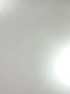 Cam4 Live Porn of Transputinha83