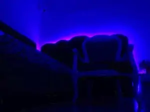 Cam4 Adult Video Chat of Emily_Jedet