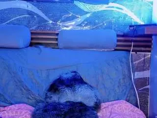 Camsoda Adult Webcams of caseymorgan