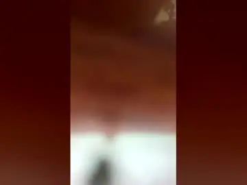 Chaturbate Live Sex of gatita_033