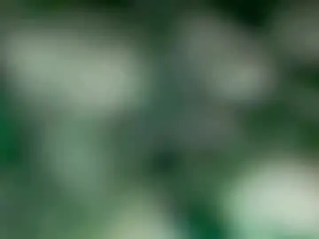 Chaturbate Adult Webcams of sexybite1