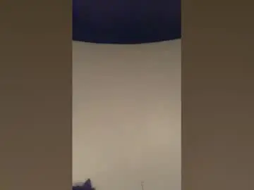 Chaturbate Nude Webcam of aspiringturtlegirl