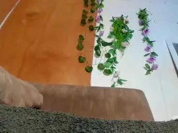 Chaturbate Watch Live Sex Cams of sexking_david