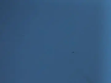 Chaturbate Adult Webcams of novanight_