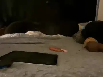 Chaturbate Private Sex Chat of femgirl99