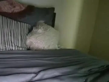 Chaturbate Adult Webcams of bigdicktrannynicole