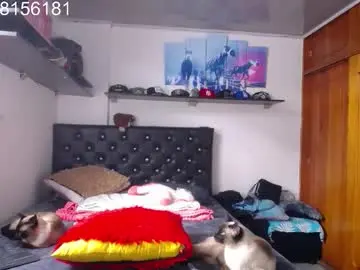 Chaturbate Watch Live Sex Cams of sebastian_posse