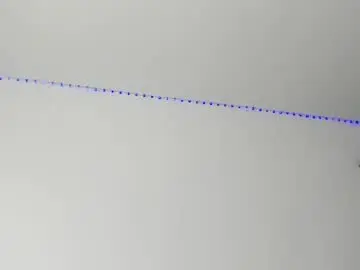 Chaturbate Sex Cam of boy_trans