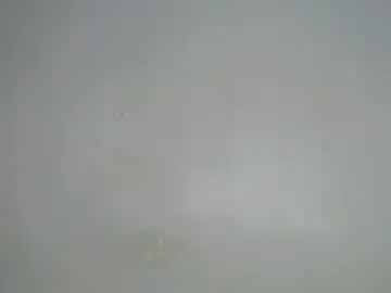 Chaturbate Free Porn Cam of cheat_chat