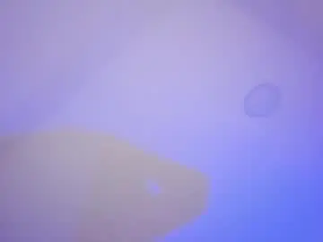 Chaturbate Free Live Porn of marily_daniela_