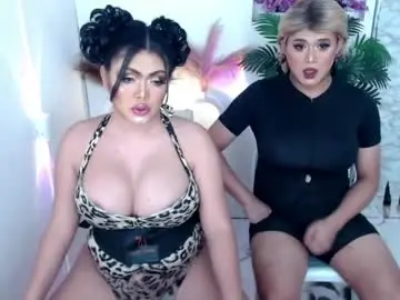 Chaturbate Private Sex Chat of 10incheskinkynastytrans