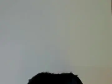 Chaturbate Adult Video Chat of valezny69