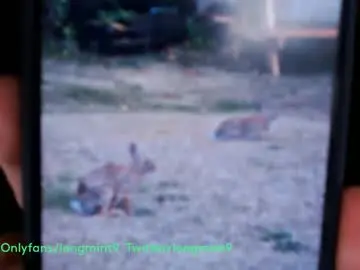 Chaturbate Live Sex Cam of longmint96