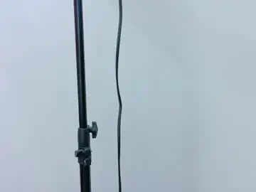 Chaturbate Free Porn Cam of abigaillenox__