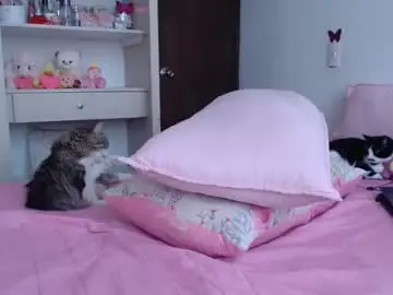 Chaturbate Adult Video Chat of dolcevainin