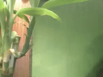 Chaturbate Live Porn of blackasiancockts