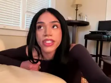 Chaturbate Live Porn of dynasty313