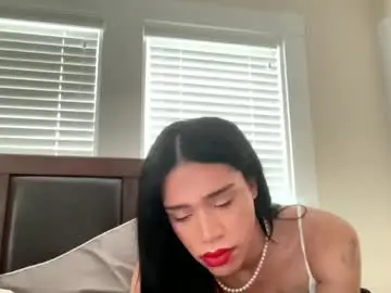 Chaturbate Adult Video Chat of dynasty313
