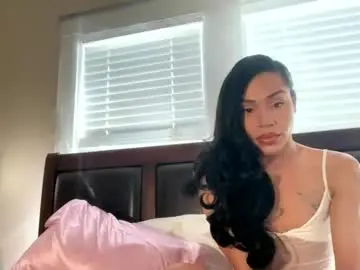 Chaturbate Live Porn of dynasty313