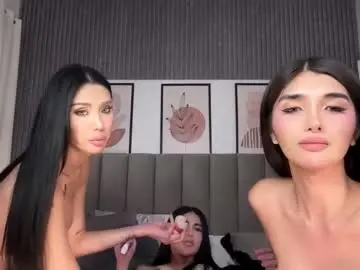 Chaturbate Best Webcam of avimiller