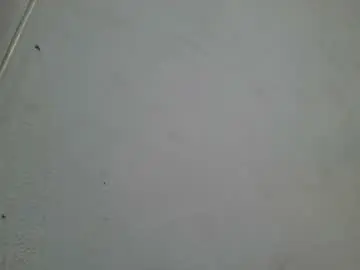 Chaturbate Adult Video Chat of franckamby