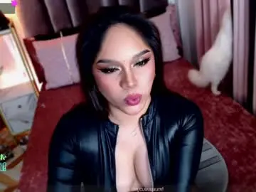 Chaturbate Adult Webcams of thesinnertrans