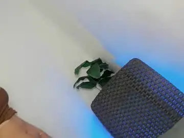 Chaturbate Free Live Porn of heavenly_abby