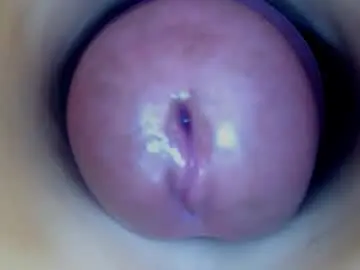 Chaturbate Private Sex Chat of paulainoscente