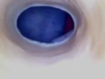 Chaturbate Sex Cam of paulainoscente