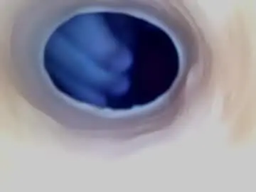 Chaturbate Best live sex cam show of paulainoscente