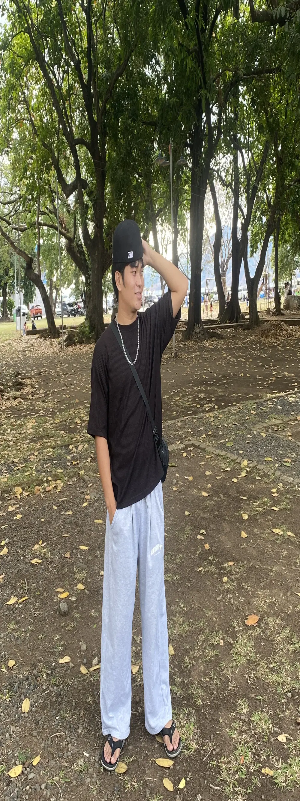 Dinosaur_Cock