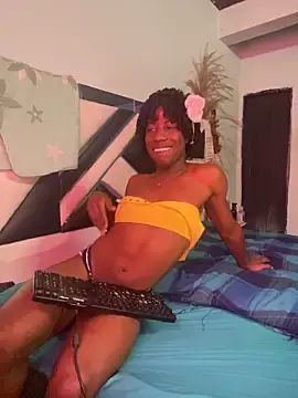 Stripchat Live Porn of AnelimDagota_