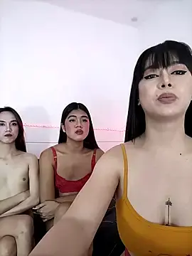 Stripchat Adult Video Chat of DominnantTransqueen