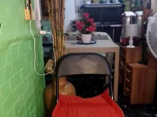 Xlovecam Sex Cam of SexPrincessTS